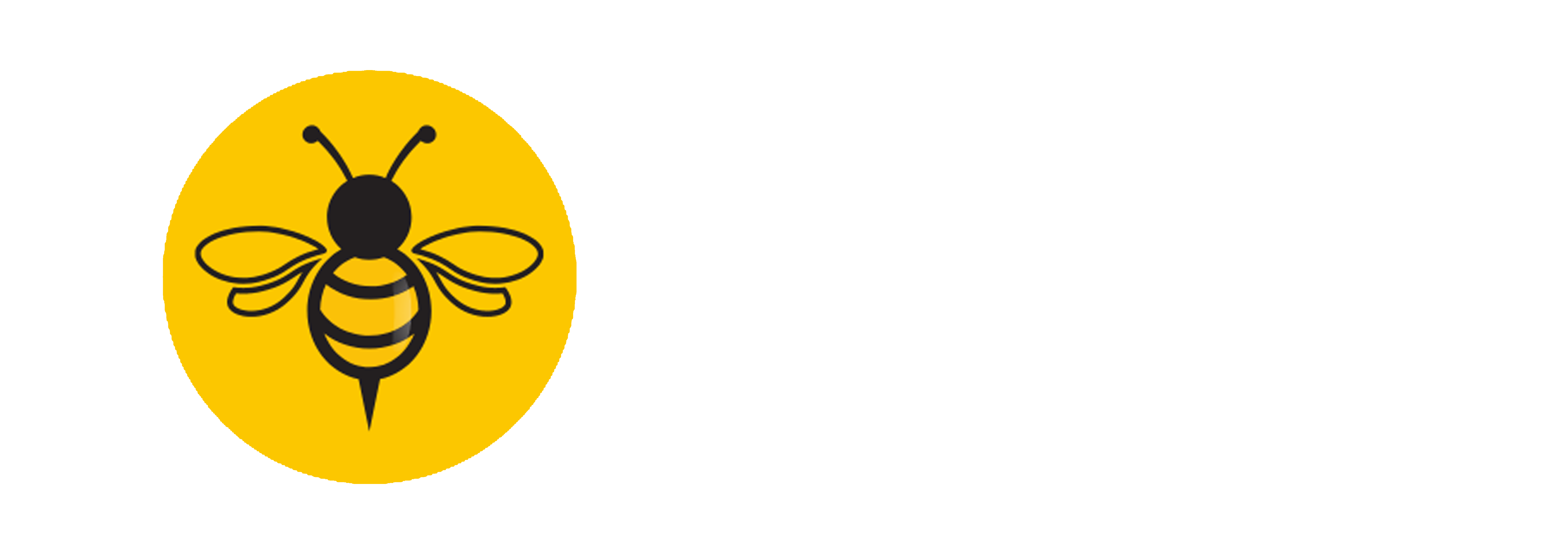 Buzz BD logo - white
