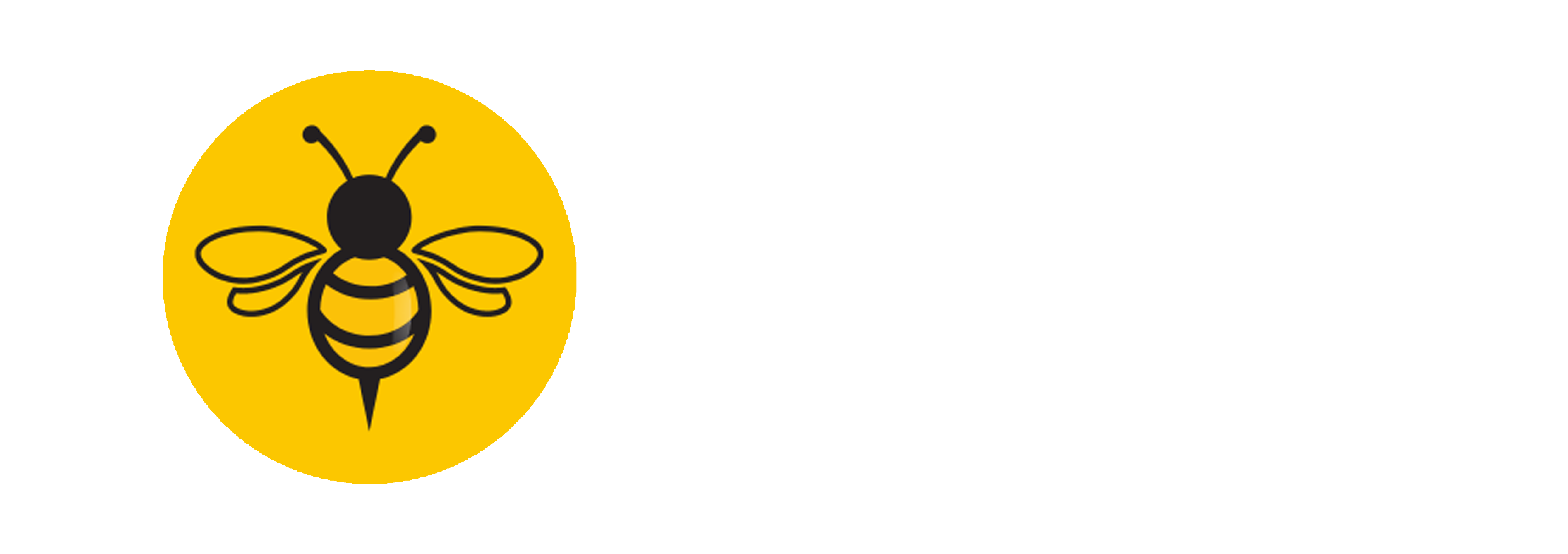 Buzz BD logo - white